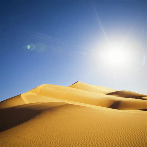 Sahara Sun Review 2024